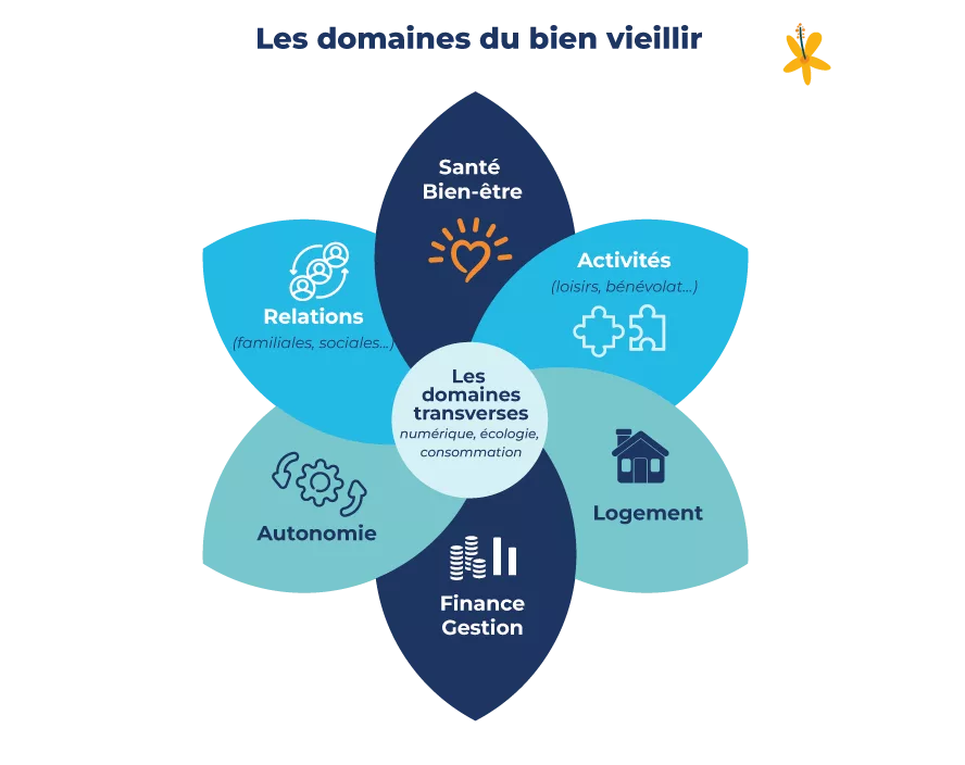 schéma-les-domaines-du-bien-vieillir-orange schéma-les-domaines-du-bien-vieillir-orange